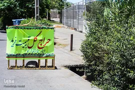 پریشانی بازار گل بیرجند بدلیل شیوع ویروس کرونا
