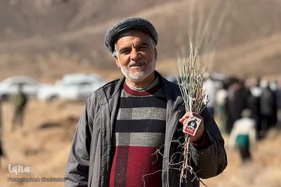 کاشت ۲۰۰ هزار نهال به همت جهادگران در خراسان جنوبی