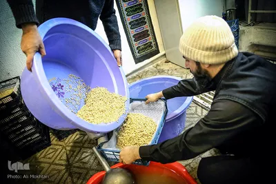 شستشو و انتقال گندم به سبد ها