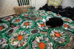 مراسم نمادین سینی حضرت قاسم(ع) در اهواز