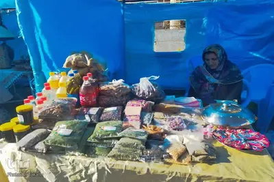 دومین جشنواره گردو و بادام علی آباد دمق شهرستان ملایر‎