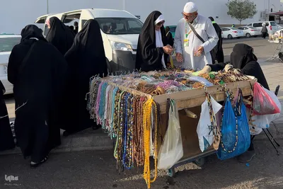 زیارت دوره زائران در مدینه منوره