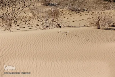 کویر مرنجاب