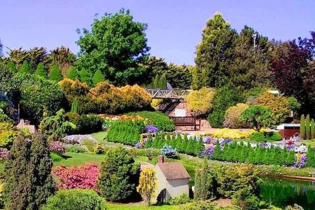 Botanica (Ali Shariati)