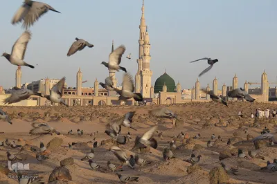 قبرستان بقیع در مدینه منوره