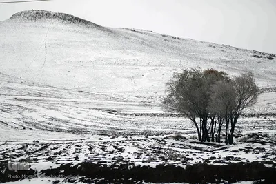 بارش برف پاییزی در ارتفاعات و مناطق روستایی اهر