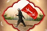 طرح | سفره‌های نور