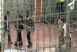 Palestinians in Zionist Regime Jails to Go on Hunger Strike