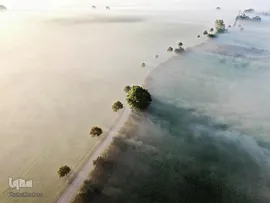 جاده ای مه آلود در جزیره فونن دانمارک 