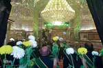 گل آرایی و گل باران مضجع شریف حضرت شاهچراغ(ع)‎‎