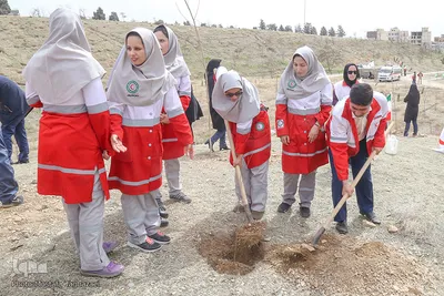 کاشت نهال صلح در بوستان طبیعت پردیسان توسط اعضای هلال احمر