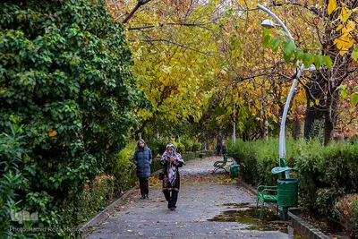 یک روز پاییزی بارانی
