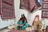 شهر ملی ورنی صاحبِ خانه شد