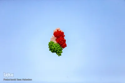 جشن بزرگ رسول مهربانی و لبخند