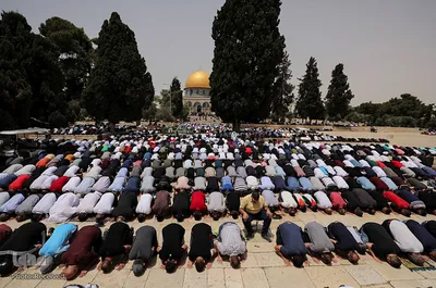 جشن پیروزی مقاومت مردم فلسطین