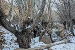 طبیعت زمستانی شهمیرزاد در آخرین روزهای پاییز