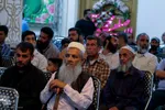 جشن آغاز هفته وحدت در شیراز‎