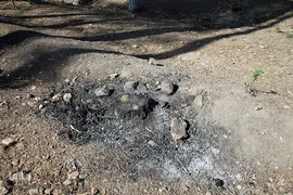 پارک جنگلی چیتگر