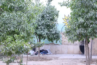 بازدید مسئولان شهری از مکانهای تجمع معتادین متجاهر در بافت تاریخی فرهنگی شهر شیراز‎‎