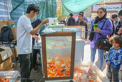 رونق بازار گل و گیاه در آستانه بهار