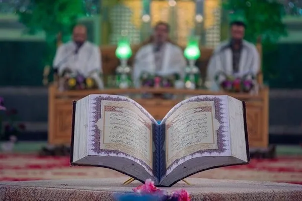 تنظيم مهرجان 