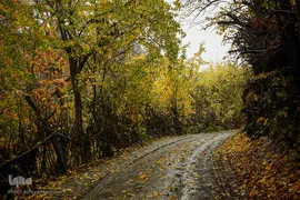 پاییز در جاغرق
