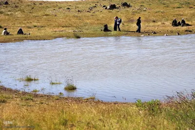 بازدید خبرنگاران استانی از مناطق عشایرنشین و ییلاقی اهر