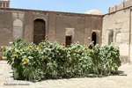 روضه 200 ساله در حسینیه محبان الزهرای بیرجند