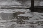 بارش باران در بیرجند