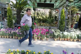 بازار گل شیراز‎‎ در آستانه سال نو