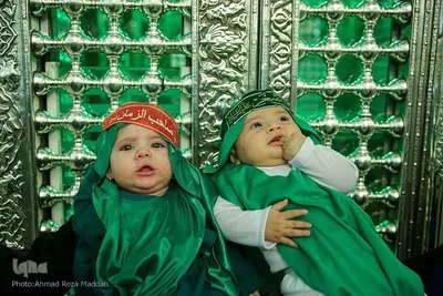 حسینیه ایران؛ سوگواره شیرخوارگان حسینی در حرم شاهچراغ