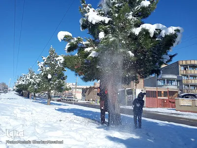 طبیعت زمستانی و روزهای سرد شهرستان اهر