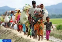 সৌদি আরবে বন্দি থাকা রোহিঙ্গাদের জোর করে পাঠানো হচ্ছে বাংলাদেশে