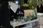 تجتع مردم بیرجند در پی محکومیت تجاوز رژیم صهیونیستی به خاک ایران