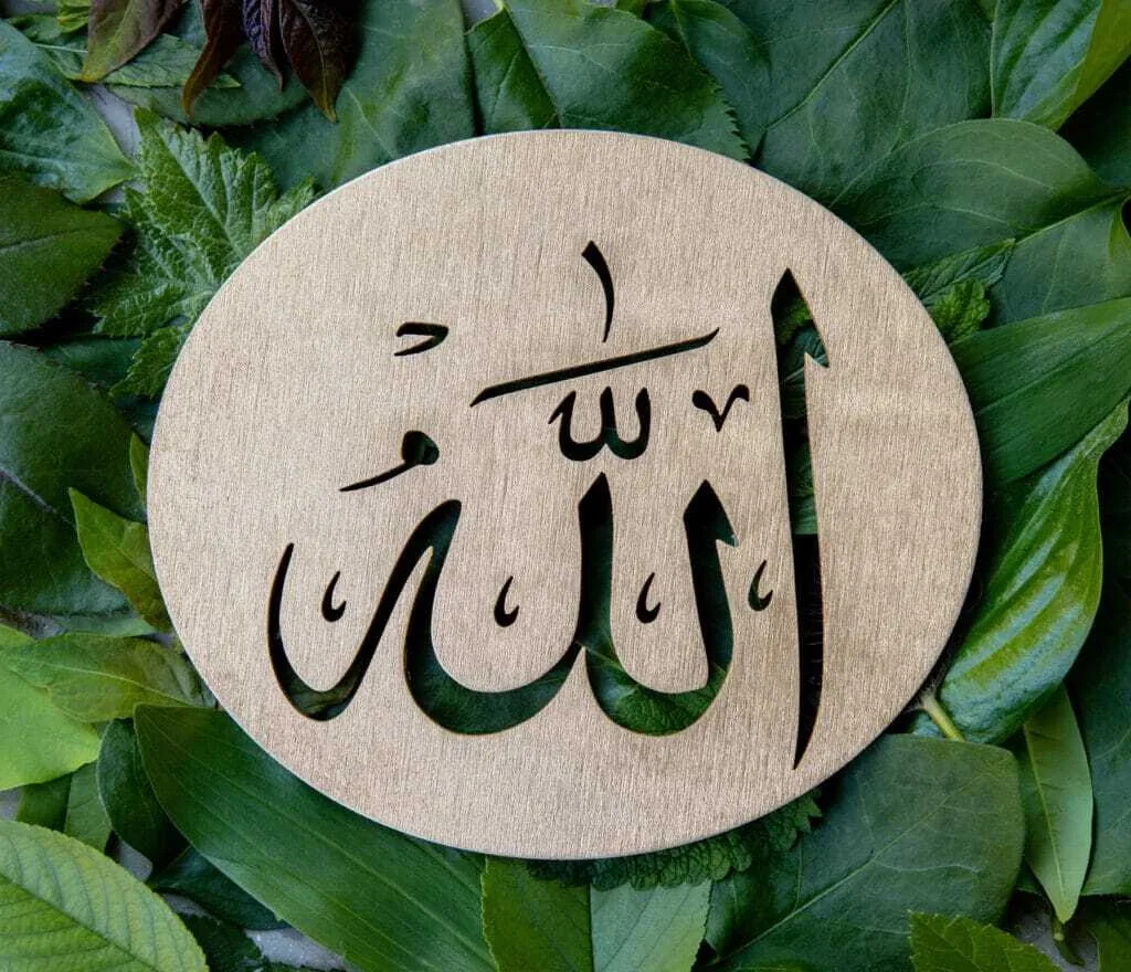 Versetti quotidiani: anche le piante adorano Allah