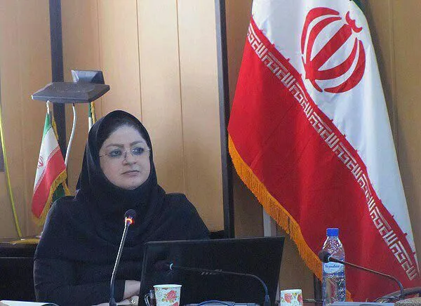 قوانین حامی كارآفرینی در كشور ضعف دارد