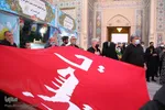 حال و هوای نمایشگاه قرآنی فارس در روز شهادت حضرت علی(ع)‎‎