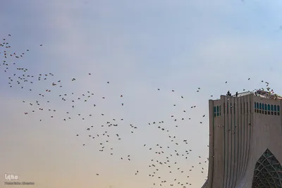 مراسم یوم‌الله ۲۲ بهمن، سالروز پیروزی انقلاب اسلامی در میدان آزادی