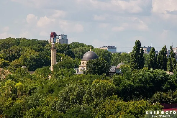 Украинские мусульмане посадят в Киеве 500 деревьев