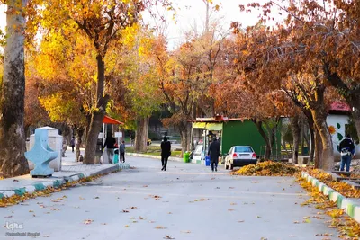 پاییز هزار رنگ ملایر
