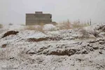 بارش برف در اهر