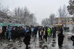 جشن مهمانی ۱۵ کیلومتری میلاد منجی (عج) در همدان‎