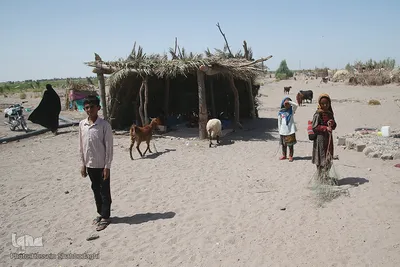 اینجا زهکلوت؛ شهرک کپرنشین حاج قاسم سلیمانی