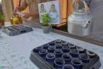 ایستگاه صلواتی به مناسبت ولادت امام حسن عسکری(ع) در ملایر‎