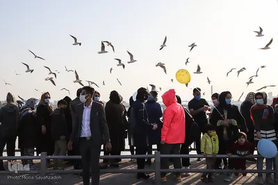 پرندگان مهاجر کارون