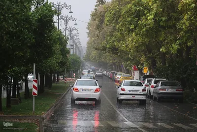 بارش باران پاییزی در شیراز