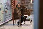 کرسی تلاوت قرآن در دانشگاه هنر اسلامی تبریز‎