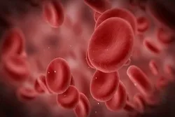 Entrée du premier médicament anticoagulant sur le marché halal