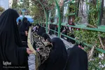 ویژه برنامه «سِرّ سَر» در گلزار شهدای شیراز‎‎