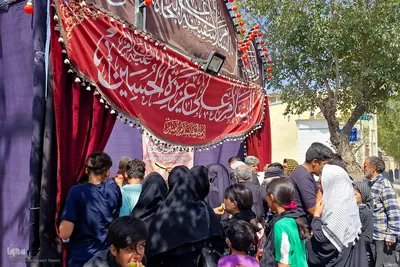 پیادروی جاماندگان اربعین حسینی در نایین